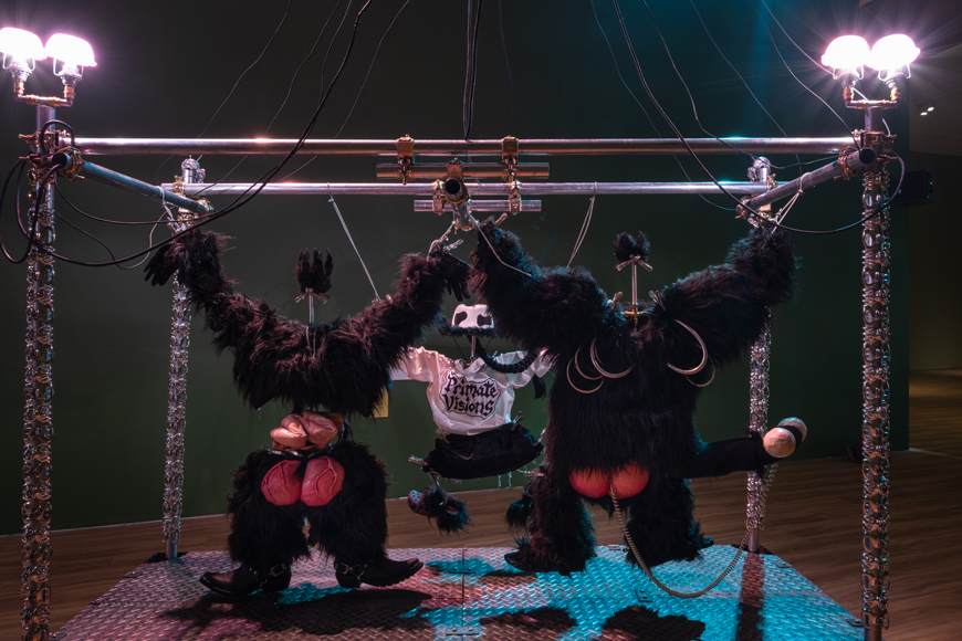 https://www.monash.edu/__data/assets/image/0011/4354526/Copy-of-macaque_curatorialtour_580.jpg