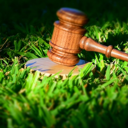 Public Lecture: Is Environmental Law Hopeful? Environmental Law