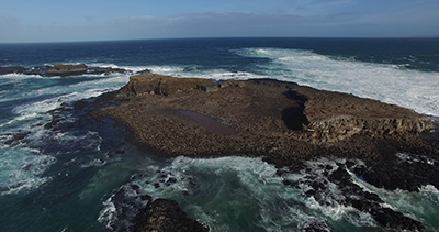 Seal Rocks