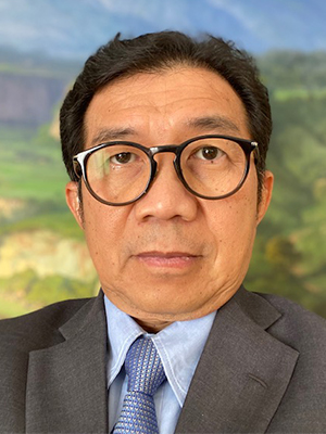 Professor Muliaman Hadad
