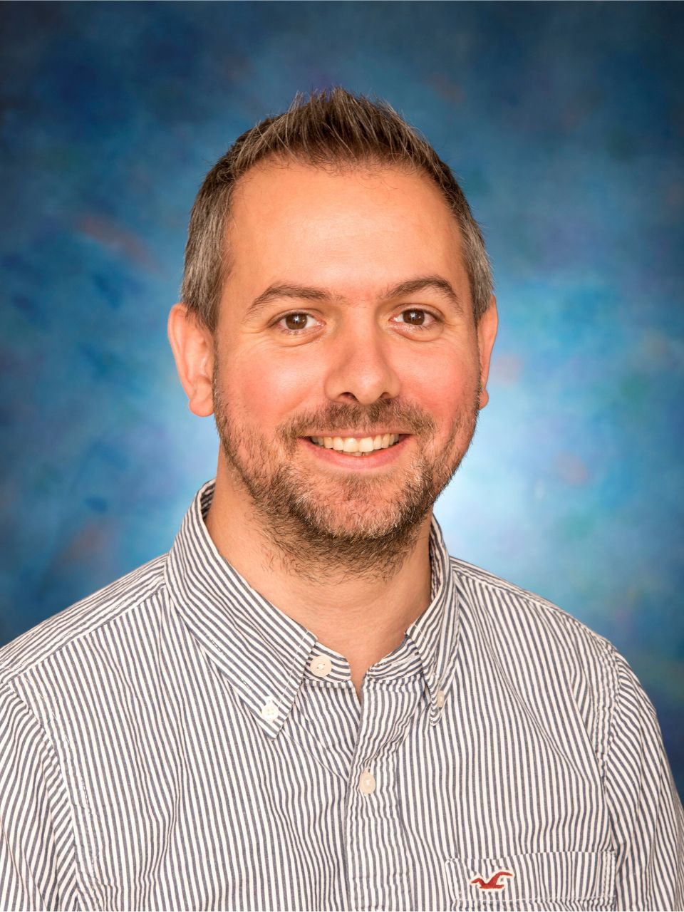 Professor Peter Skands