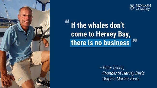 "If the whales don't come to Hervey Bay, there is no business" Quote by Peter Lynch, founder of Hervey Bay's Dolphin Marine Tours