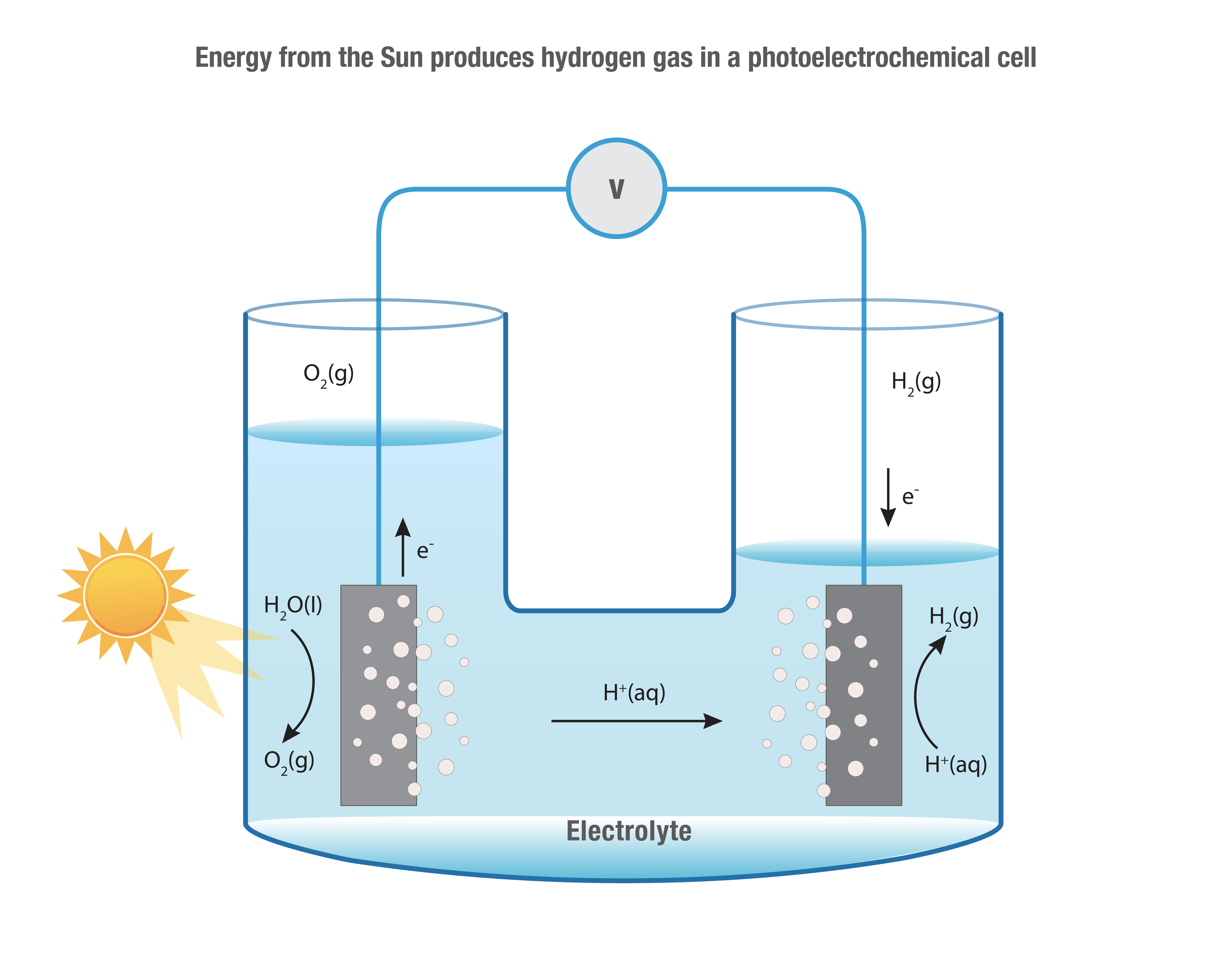 Diagram demonstrating artificial photosynthesis to produce hydrogen gas in a photoelectrochemical cell. Two electrodes are immersed in an electrolyte. The left electrode absorbs sunlight, oxidising H₂O to release O₂ gas, protons (H⁺), and electrons (e⁻). Electrons flow through an external circuit to the right electrode, where H⁺ combines with the electrons to form H₂ gas.
