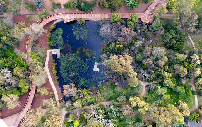 Drone image of clayton campus gardens