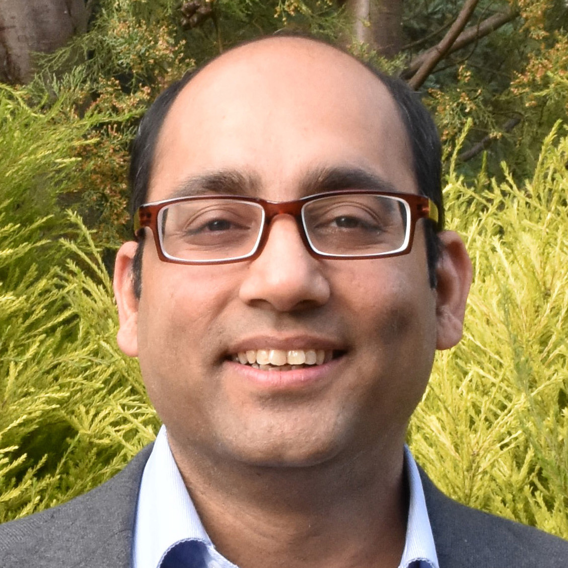 Adeel Razi