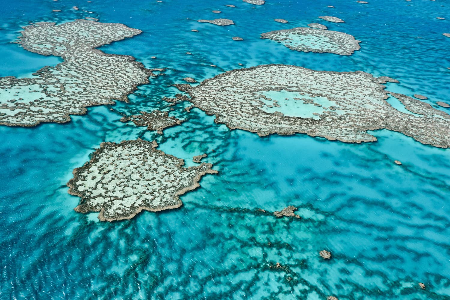 Great barrier reef