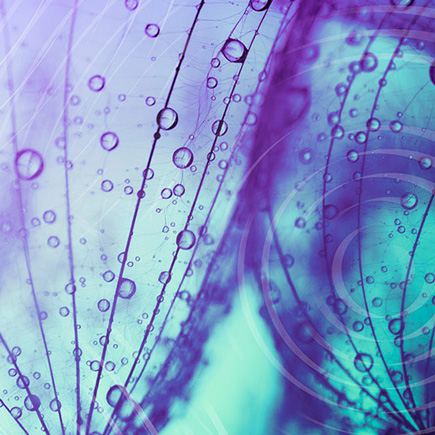 2026 Fourth-Year Psychology Research Competition 