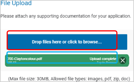 File upload screen with a 'drop files here or click to browse' button. Underneath displays a file that has already been uploaded.