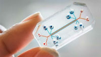 Microfluidics. Image: Dr Jeremy Barr. Microfluidics. Image: Dr Jeremy Barr.