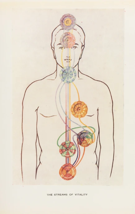 A hand-drawn map of the chakras over a front-facing profile of a person's upper body