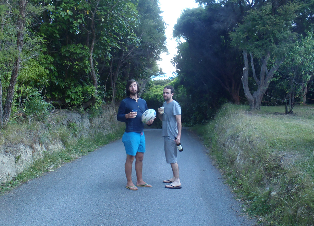 Wellington5