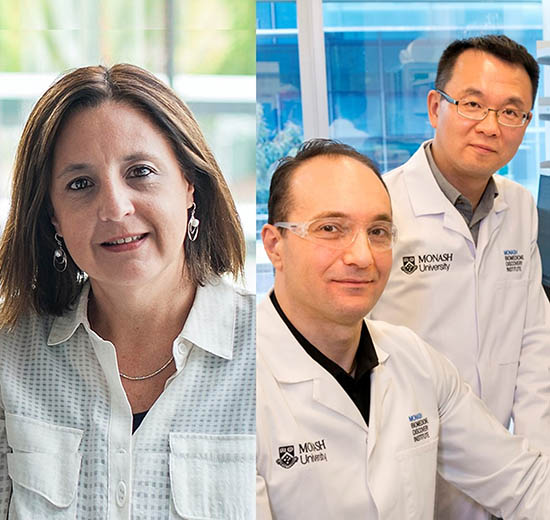 (L-R) Professors Diana Hansen, Tony Velkov and Jian Li.
