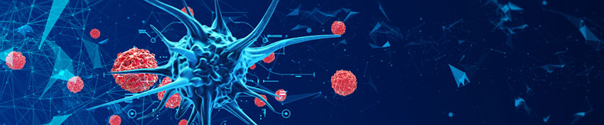 Infection, Inflammation and Immunity