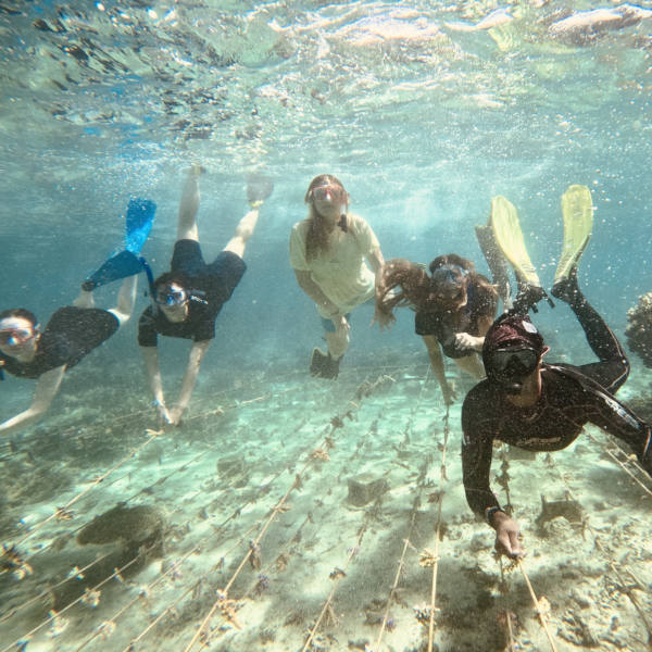 GIG Fiji