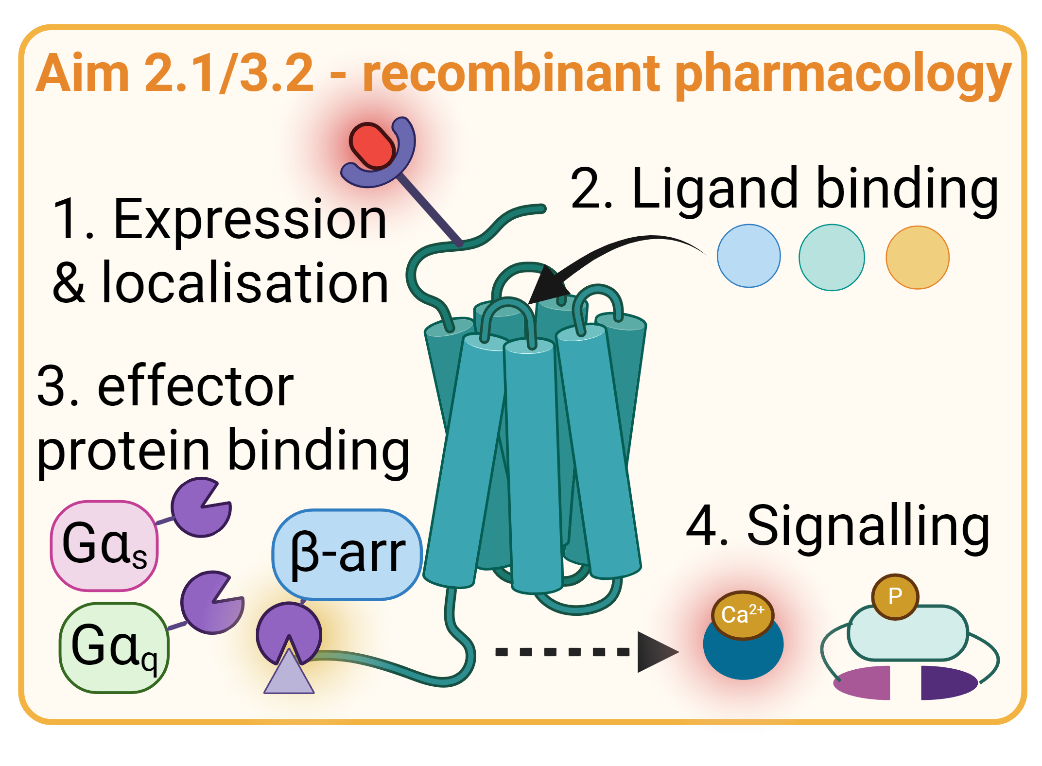 Recombinant pharm