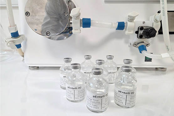 Entelli-02 a bespoke phage therapy designed specifically to target Enterobacter cloacae complex, a highly antimicrobial resistant bacteria