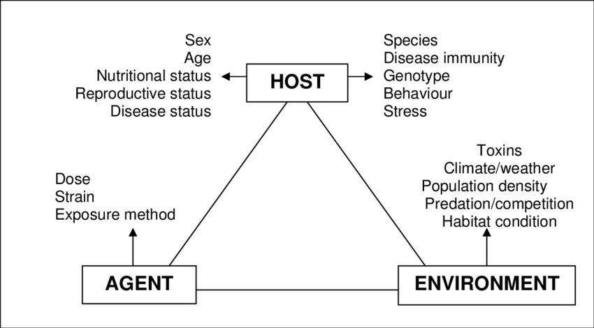 Classical-triad-representing-the-interrelationship-between-host-agent-and-environment